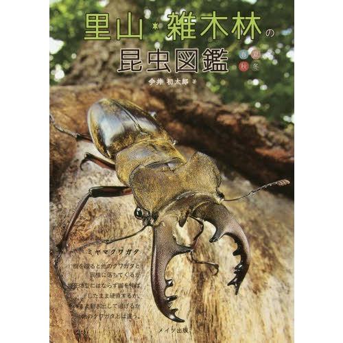 【送料無料】[本/雑誌]/里山・雑木林の昆虫図鑑 春夏秋冬/今井初太郎/著