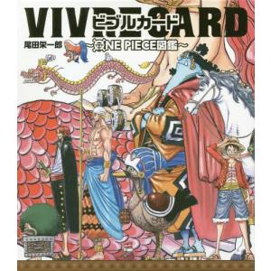 ビブルカード Vivre Card One Piece図鑑の商品一覧 通販 Yahoo ショッピング