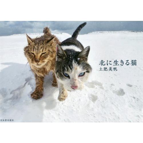 【送料無料】[本/雑誌]/北に生きる猫/土肥美帆/著