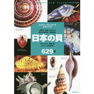 貝の標本の商品一覧 通販 Yahoo ショッピング