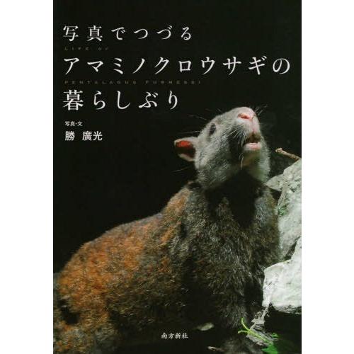 [本/雑誌]/写真でつづる アマミノクロウサギの暮らし/勝廣光/写真・文