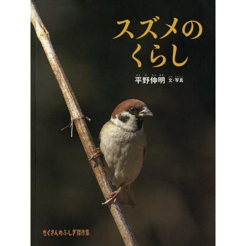 [本/雑誌]/スズメのくらし (たくさんのふしぎ傑作集)/平野伸明/文・写真
