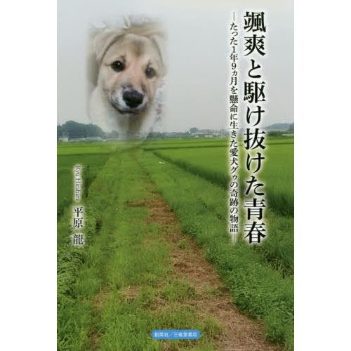 [本/雑誌]/颯爽と駆け抜けた青春 たった1年9ヵ月を/平原龍/著