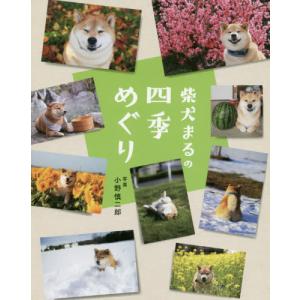 [本/雑誌]/柴犬まるの四季めぐり/小野慎二郎/写真｜ネオウィング Yahoo!店