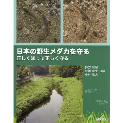 【送料無料】[本/雑誌]/日本の野生メダカを守る/棟方有宗/編著 北川忠生/編著 小林牧人/編著