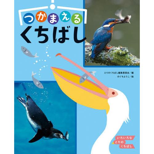 【送料無料】[本/雑誌]/つかまえるくちばし (いろいろなとりのくちばし)/とりのくちばし編集委員会...