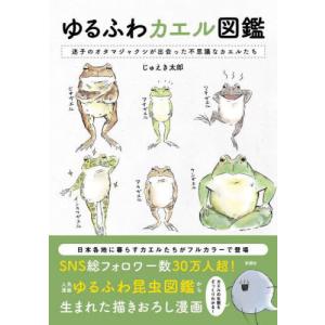 真・魂の飛ばし方 魂の視覚を鍛えれば、夢はすべて叶う タマエミチ願望