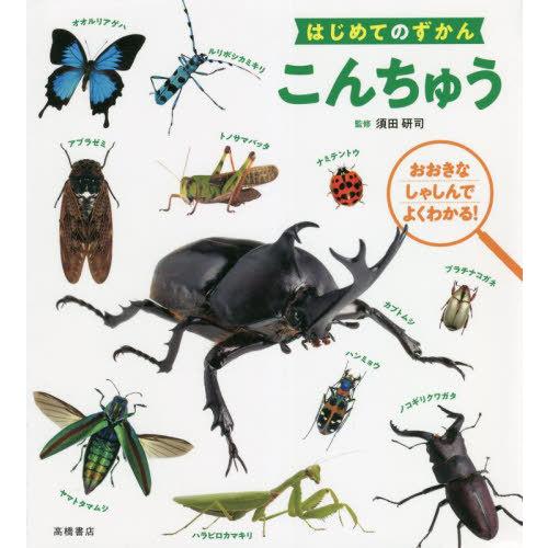 [本/雑誌]/こんちゅう おおきなしゃしんでよくわかる! (はじめてのずかん)/須田研司/監修