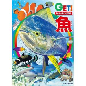 送料無料】[本/雑誌]/[図鑑セット] 小学館の図鑑NEO 人気定番セット