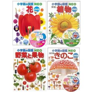 小学館の図鑑NEO セット 1-20 動物-野菜と果物まで20冊 小学館の
