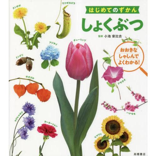 [本/雑誌]/しょくぶつ (はじめてのずかん)/小池安比古/監修