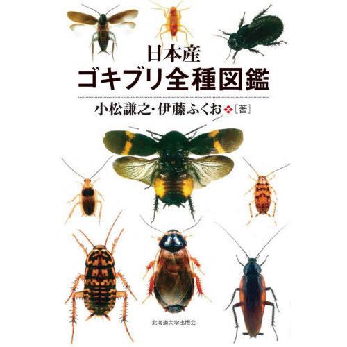 【送料無料】[本/雑誌]/日本産ゴキブリ全種図鑑/小松謙之/著 伊藤ふくお/著