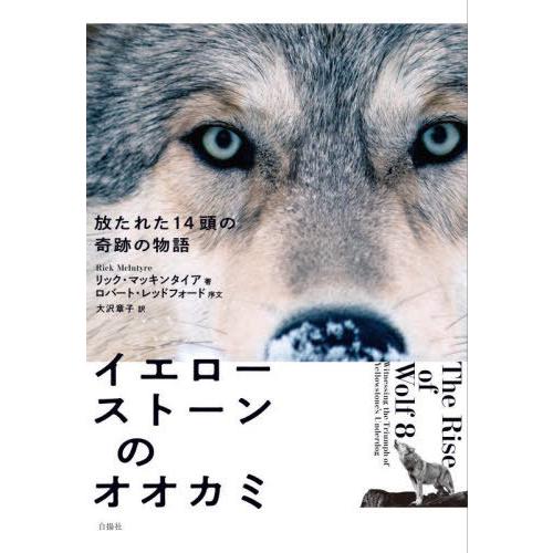 【送料無料】[本/雑誌]/イエローストーンのオオカミ 放たれた14頭の奇跡の物語 / 原タイトル:T...