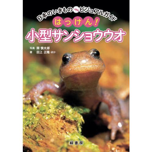 【送料無料】[本/雑誌]/はっけん!小型サンショウウオ (日本のいきものビジュアルガイド)/関慎太郎...