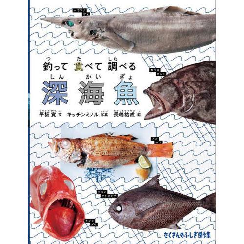 [本/雑誌]/釣って食べて調べる深海魚 (たくさんのふしぎ傑作集)/平坂寛/文 キッチンミノル/写真...