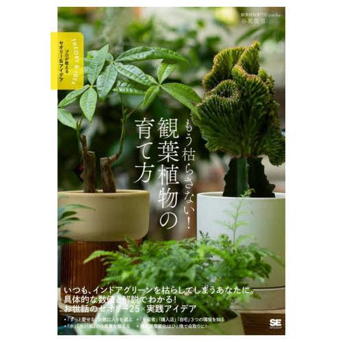 【送料無料】[本/雑誌]/もう枯らさない!観葉植物の育て方 (プロが教えるセオリー&amp;アイデア)/谷奥...