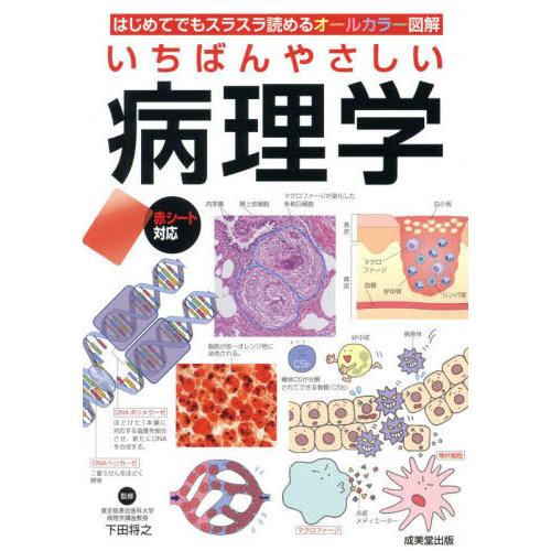 【送料無料】[本/雑誌]/いちばんやさしい病理学 はじめてでもスラスラ読めるオールカラー図解/下田将...
