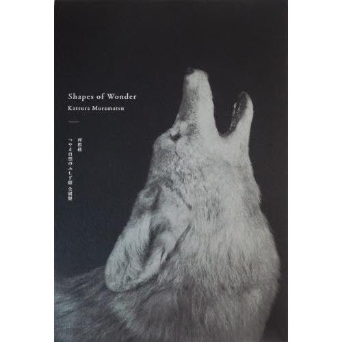 【送料無料】[本/雑誌]/Shapes of Wonder/村松桂/著