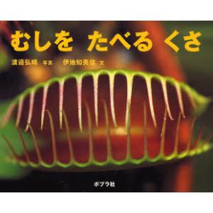 むしをたべるくさの買取情報