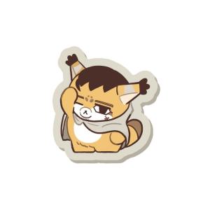 未開封ポケットモンスター ポケモンカードゲーム 缶バッジ ジム