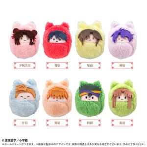 【送料無料】2026/09発売 [グッズ]/ふしぎ遊戯 くるみたぴぬい BOX【タピオカ】