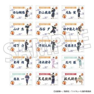 No.162 日向翔陽＆孤爪研磨】ハイキュー!! クリアカード