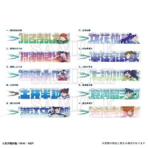 BOX〉忍たま乱太郎 トレーディングフォトグレイステッカー ティーズ