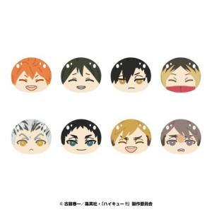 9月発売予定 TVアニメ「ハイキュー!!」 ちみけもますこっと (15) 菅原