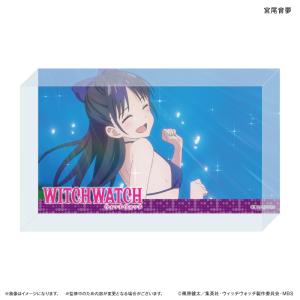 あんさんぶるスターズ ポートレートサイン 缶バッジ C 瀬名泉 あんスタ