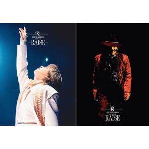 【送料無料】[DVD]/KOICHI DOMOTO/KOICHI DOMOTO LIVE TOUR 2025 RAISE [DVD 初回盤+通常盤] [2形態一括購入セット] 堂本光一