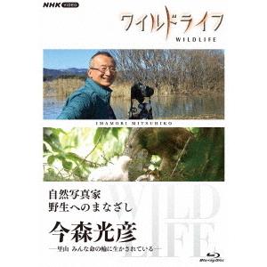 【送料無料】[Blu-ray]/ドキュメンタリー/ワイルドライフ 自然写真家 野生へのまなざし 今森...