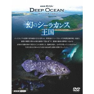 NHKスペシャル ディープオーシャンの買取情報