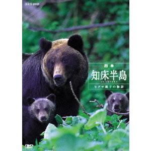 四季・知床半島 ヒグマ親子の物語の買取情報