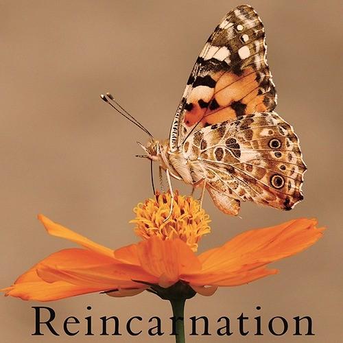 [CD]/NEVERLAND/Reincarnation [TYPE C]