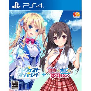 新品】Switch Ever 17 /Never 7 Double Pack 限定版 : アーク