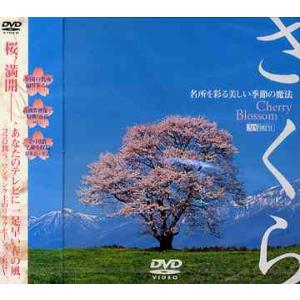 [DVD]/趣味教養/さくら -名所を彩る美しい季節の魔法-