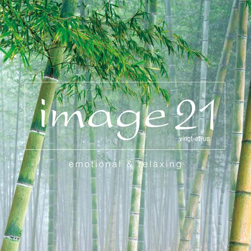 【送料無料】[CD]/オムニバス/image21 emotional &amp; relaxing [Blu...