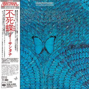 同人音楽CDソフト 詰め詰めりんご/くるりんご 4枚組CD : EastRiverrr