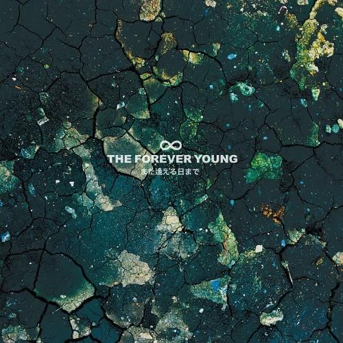 [CD]/THE FOREVER YOUNG/また逢える日まで