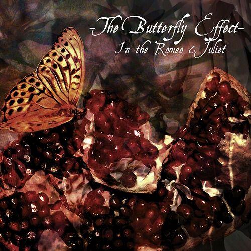 【送料無料】[CD]/ミサルカ/The Butterfly Effect 〜In the Romeo...