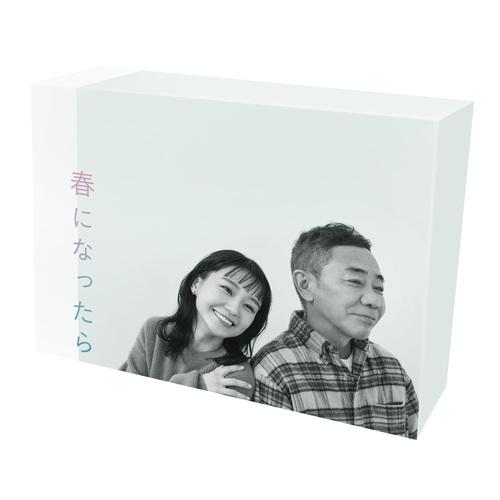 【送料無料】[Blu-ray]/TVドラマ/春になったら Blu-ray BOX