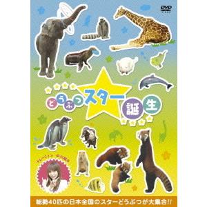 【送料無料】[DVD]/趣味教養/どうぶつスター誕生!｜neowing