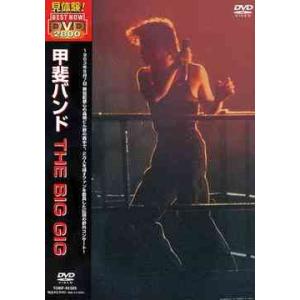 送料無料】[DVD]/甲斐バンド/BIG NIGHT 〜KAI BAND LIVE AT BUDOKAN