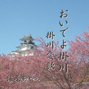 掛川城 桜