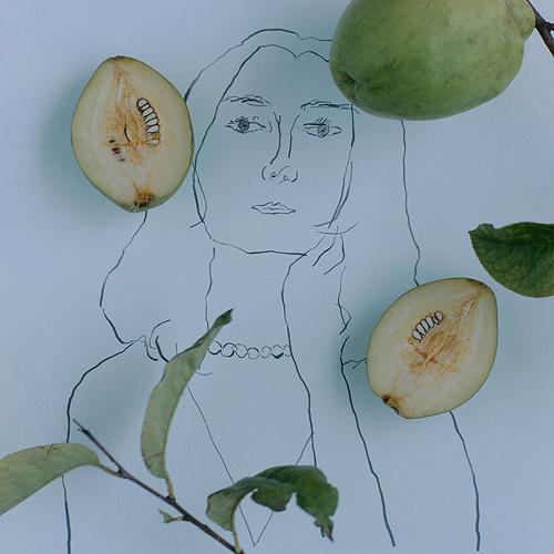 【送料無料】[CD]/原田知世/カリン [UHQCD] [初回限定盤]