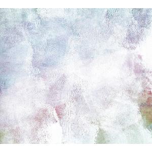 【送料無料】[CD]/back number/新しい恋人達に [DVD付初回限定盤]