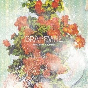 【送料無料】[CD]/GRAPEVINE/ROADSIDE PROPHET [通常盤]