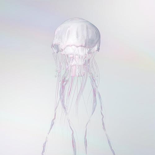 【送料無料】[CD]/SCANDAL/LUMINOUS [Blu-ray+GOODS付完全生産限定盤...