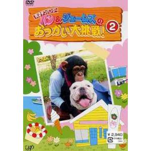 志村どうぶつ園 パンくん ジェームズ Dvd 映像ソフト の商品一覧 通販 Yahoo ショッピング
