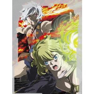 【送料無料】[Blu-ray]/アニメ/ダンジョンに出会いを求めるのは間違っているだろうか IV V...